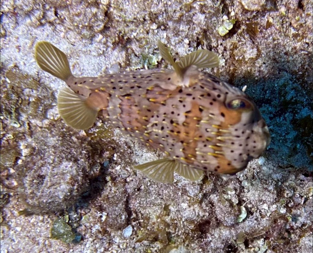 075b4d3e-2b69-4e32-bee2-1b2eafc5f7ea