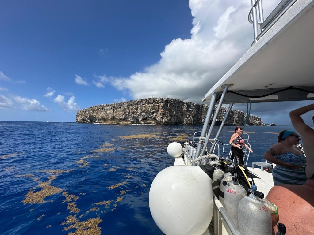 0b32add4-df52-4259-9932-7c7aa2cd7c24