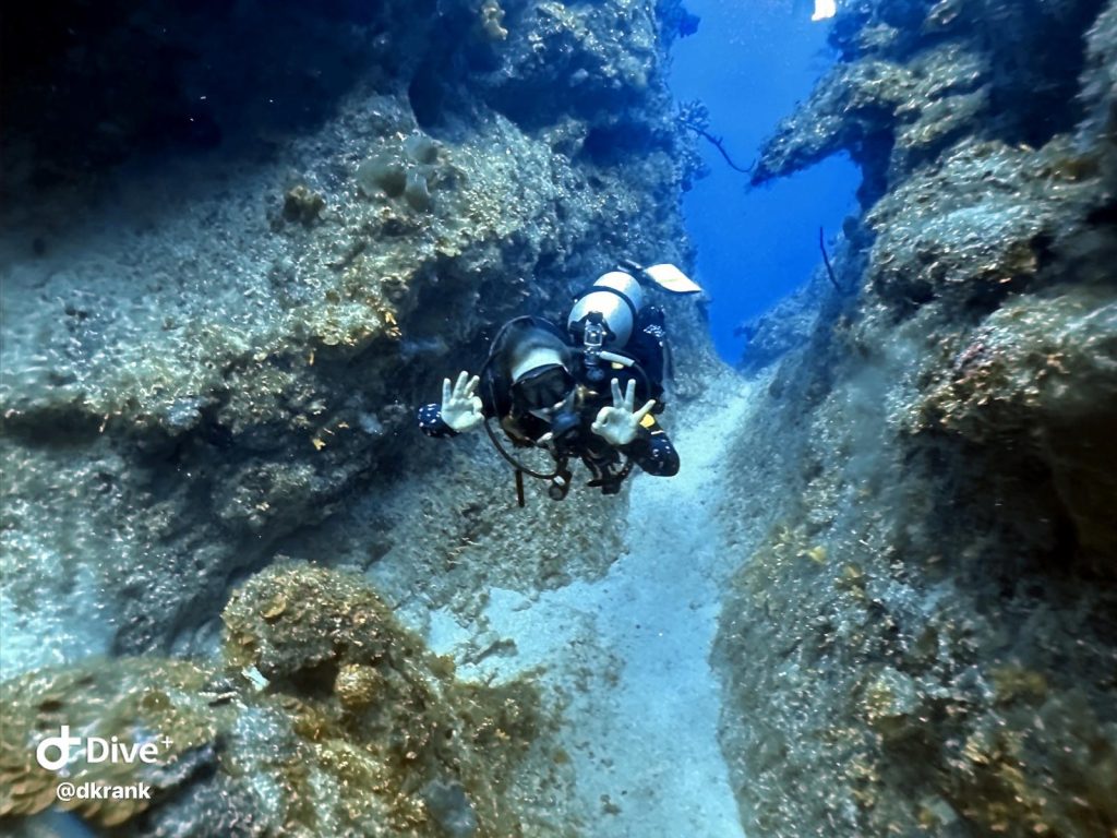 1351806d-73c5-4e94-a490-a3dec8ad0603