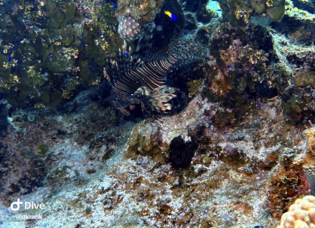 26a393ae-a3d0-4876-9a73-5158264b661e