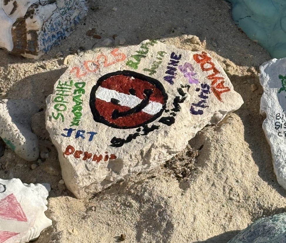 44537618-59e8-4ff4-b319-8962af0202cd