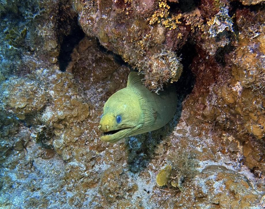 489288262_10161399119653002_3160596396703078474_n