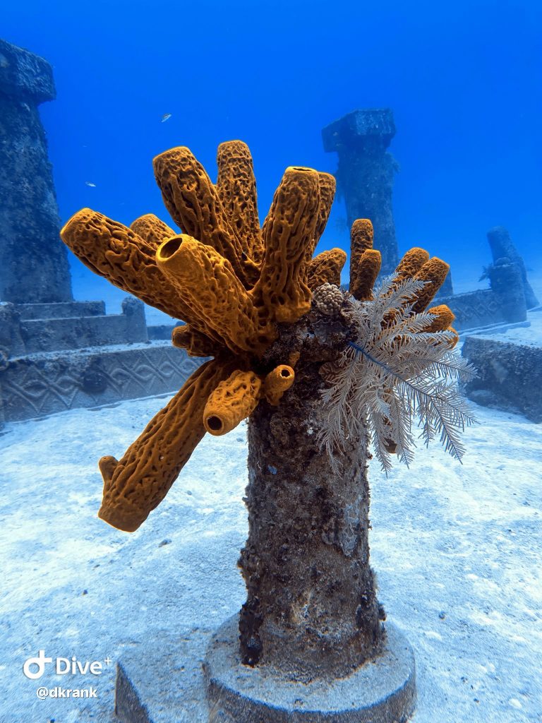 489535139_10161399123333002_2051419408631354811_n(1)