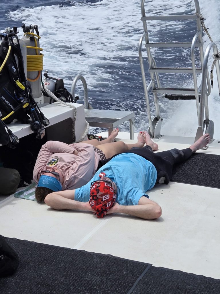 489780555_10161399125593002_2503644499454719342_n