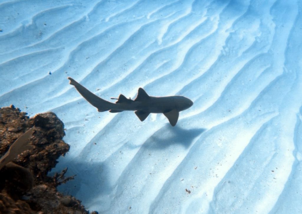 489826153_10161399123413002_5582559606503123004_n