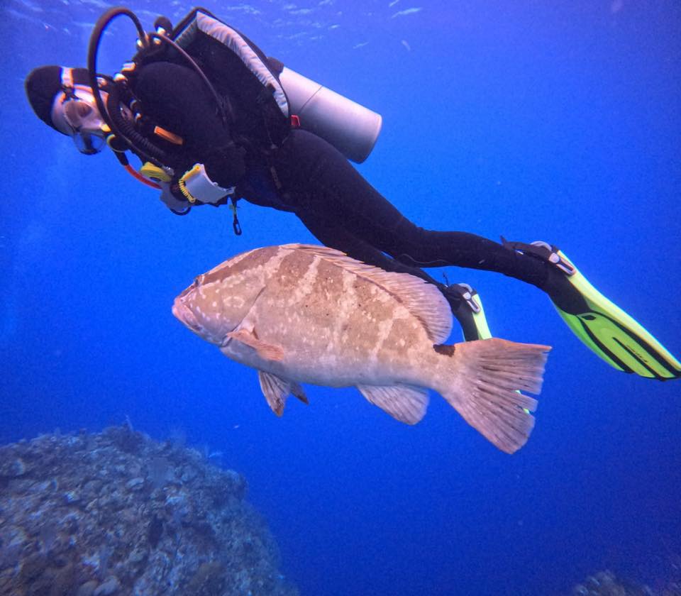 489900295_10161399121493002_908135869077548223_n