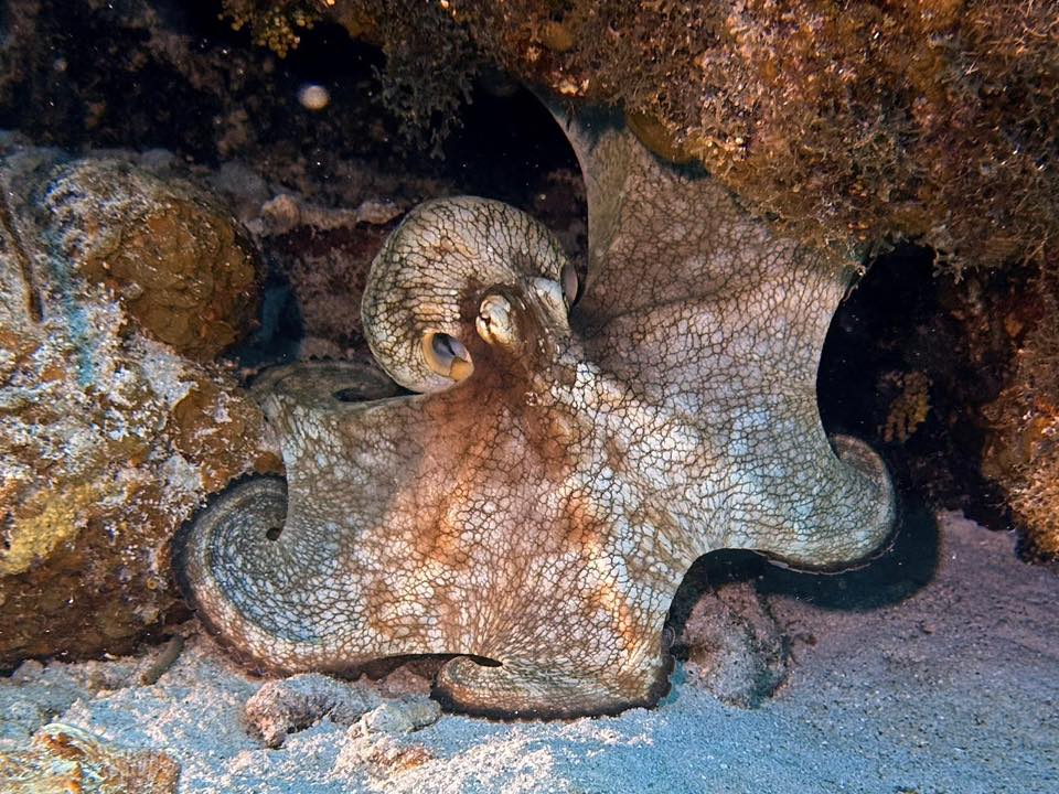 489912929_10161399121858002_370277336714448465_n