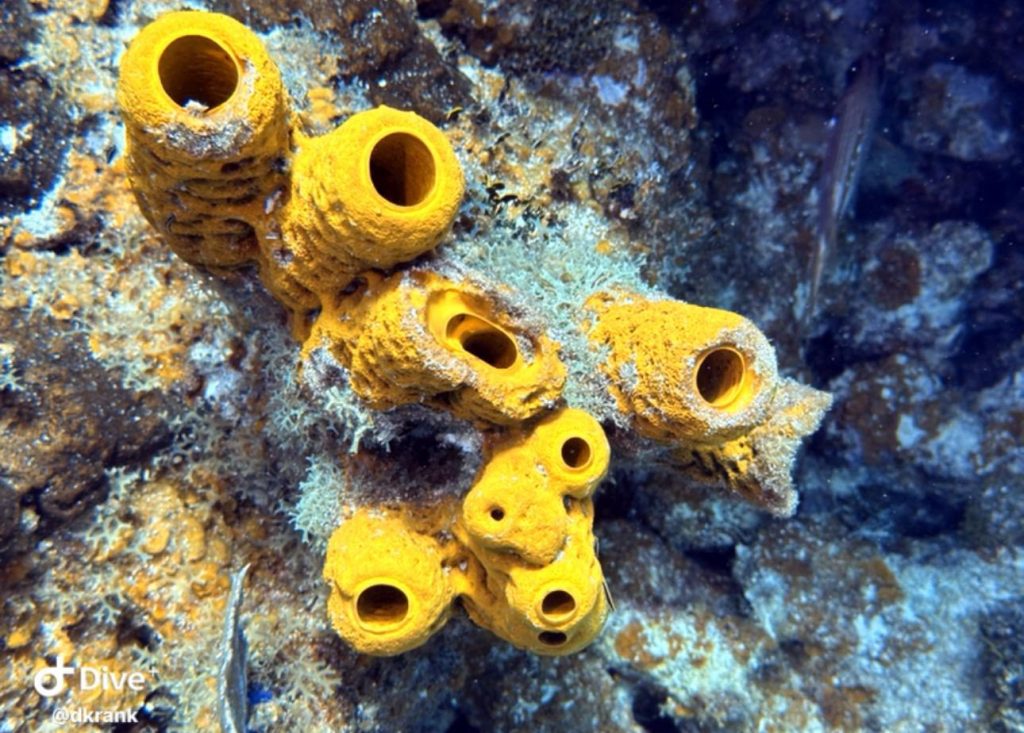 490459129_10161399125133002_6217645780091786107_n