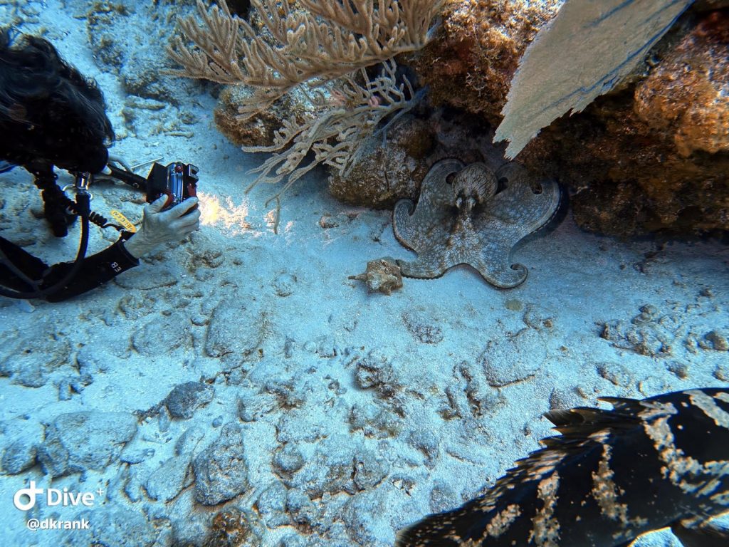 4b40187e-002d-46af-b5f9-d5b930c1e13a