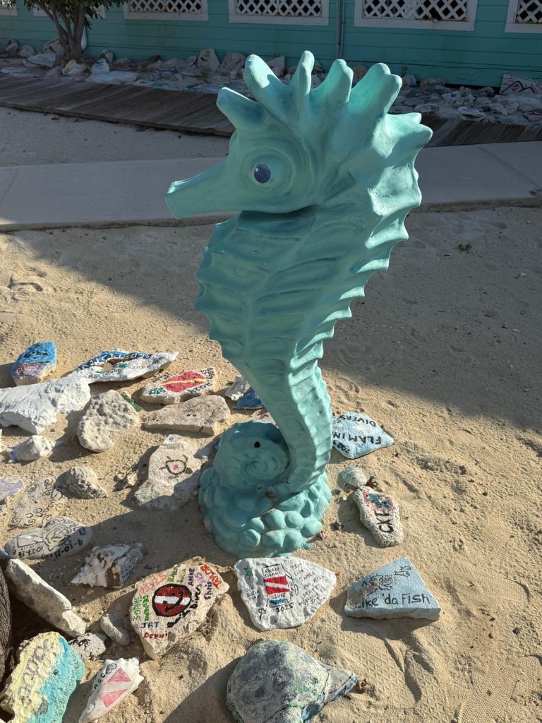 5d646da7-34ac-471f-ae93-1e8402de55bd