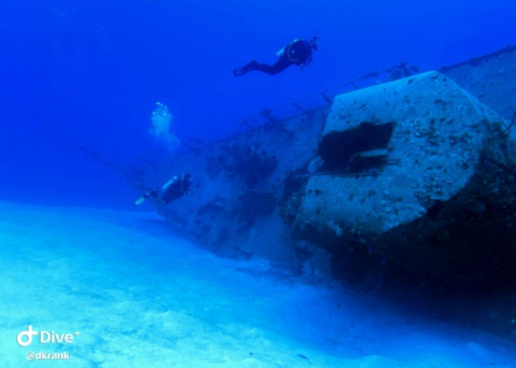 66e8f7f1-c947-4e4b-86d3-b5b12420b226