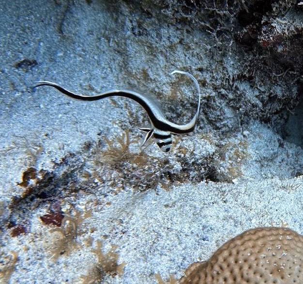 78c168ca-95db-476b-89bc-921f80b92b69