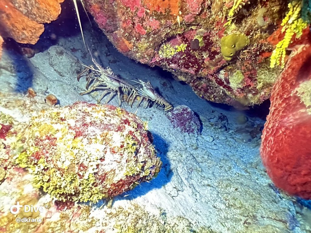 8207dc9d-7e96-43f7-aabf-10d7cdb9494c