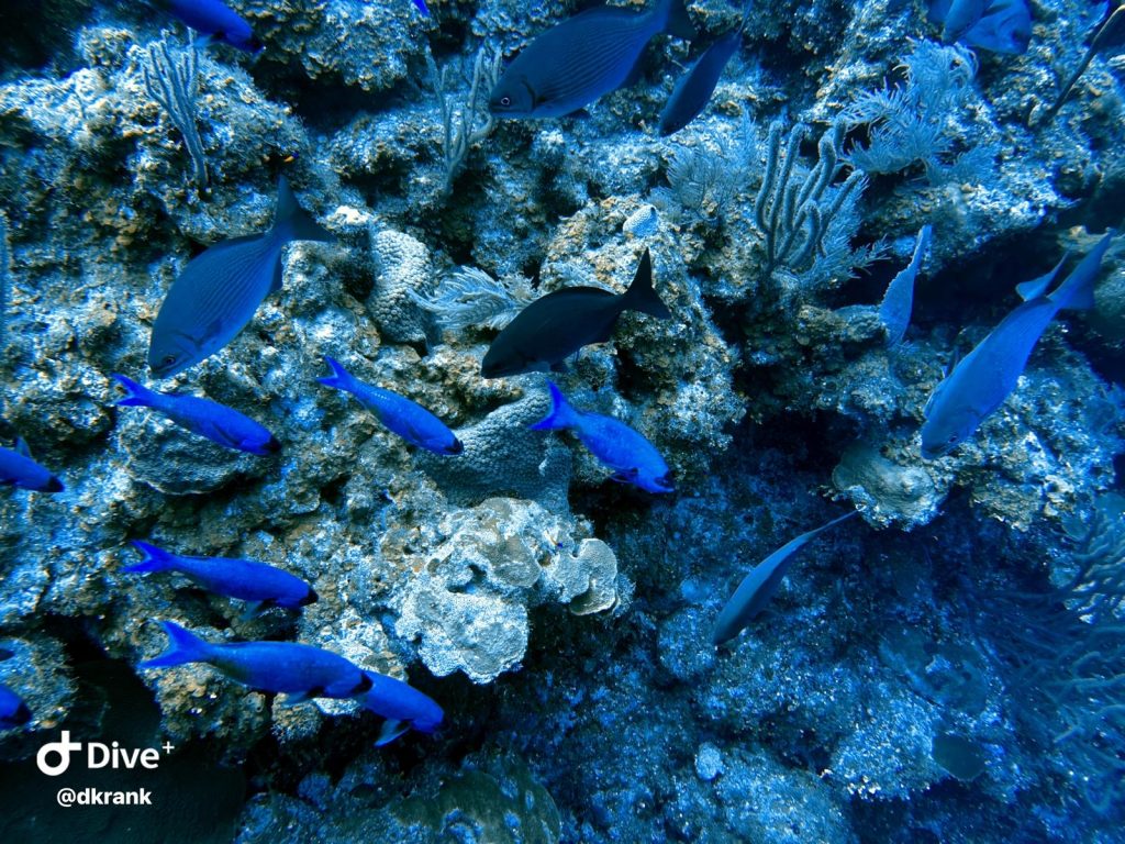 8db99a56-fde4-42c2-97f1-9ea8e0313ca5