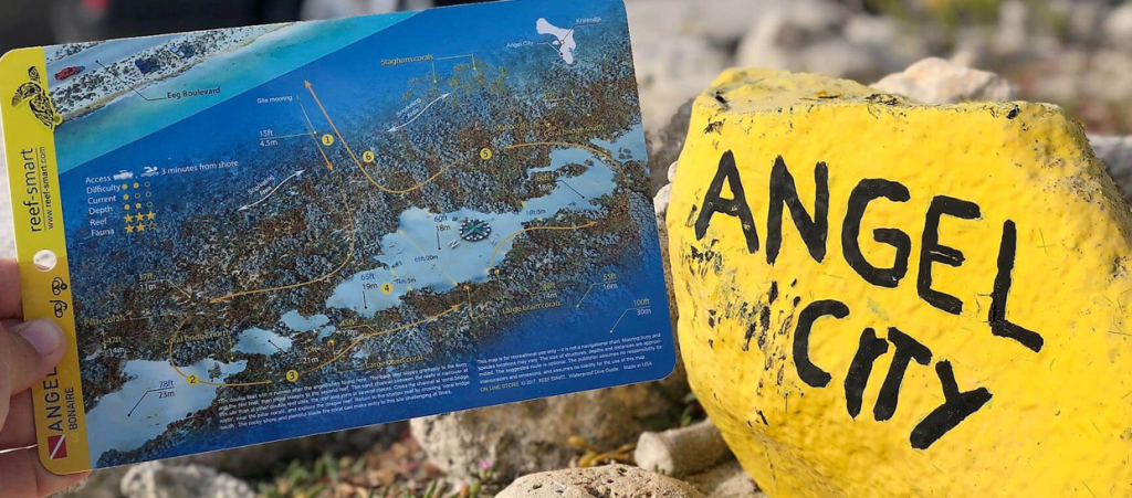 Screenshot 2025-09-16 142150