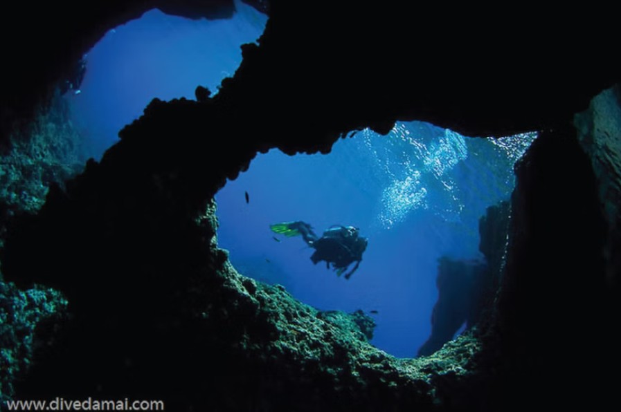 Screenshot 2025-09-27 112701