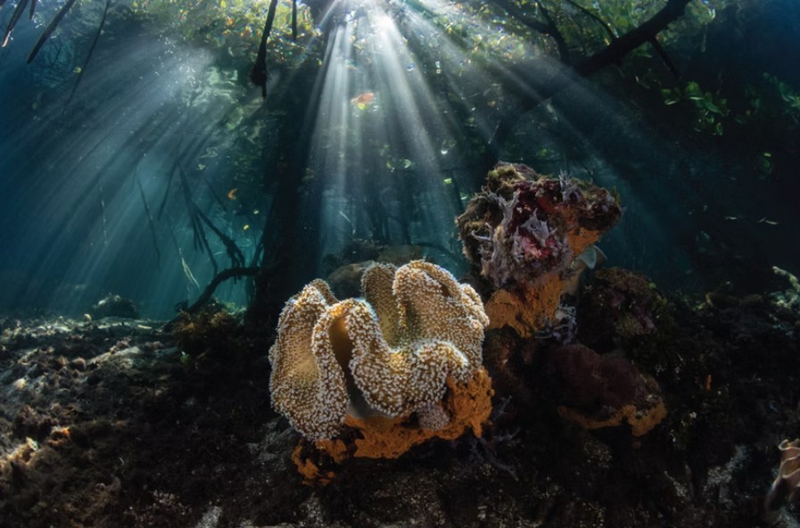 Screenshot 2025-09-27 112723