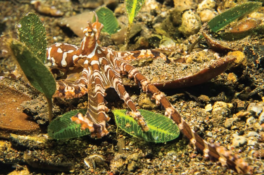 Screenshot 2025-09-27 112748