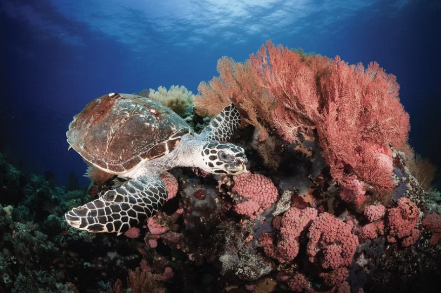 Screenshot 2025-09-27 112808