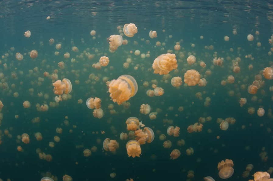 Screenshot 2025-09-27 112957