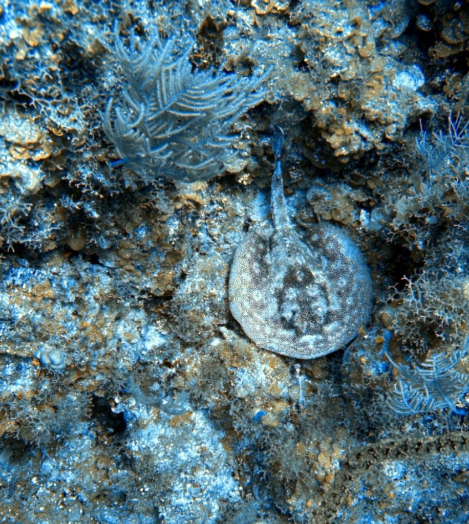 b7ff38b4-3890-47bd-95c8-c93ef662c679