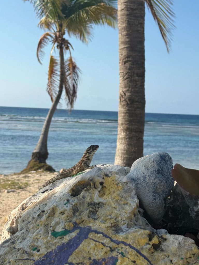 ec92b4fe-0511-40b1-a612-07bfa18f1eed